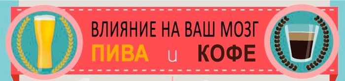 Экскурсия в нашу голову - Моё, Инфографика, Образование, Интересное, Необычное, Лучшее, Экскурсия, Виртуальные экскурсии, Длиннопост