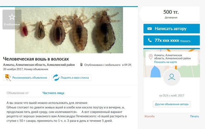 Совсем рехнулись?