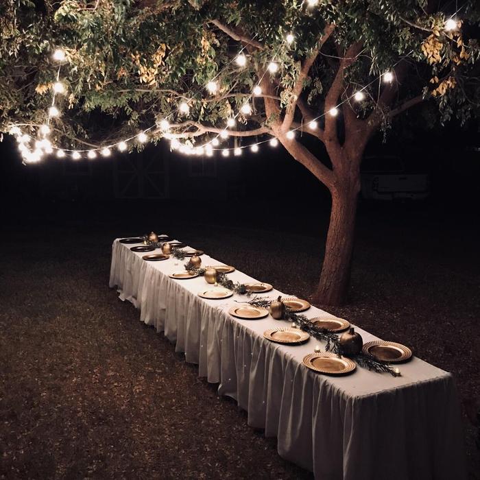 Cozy feast - Nature, Table, Thanksgiving Day