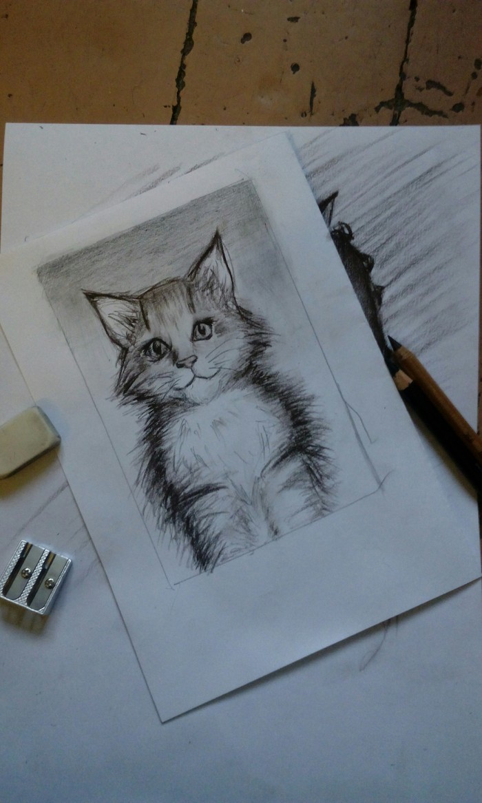 Kitten drawing - My, Drawing, cat, Sepia, Pencil drawing, Longpost