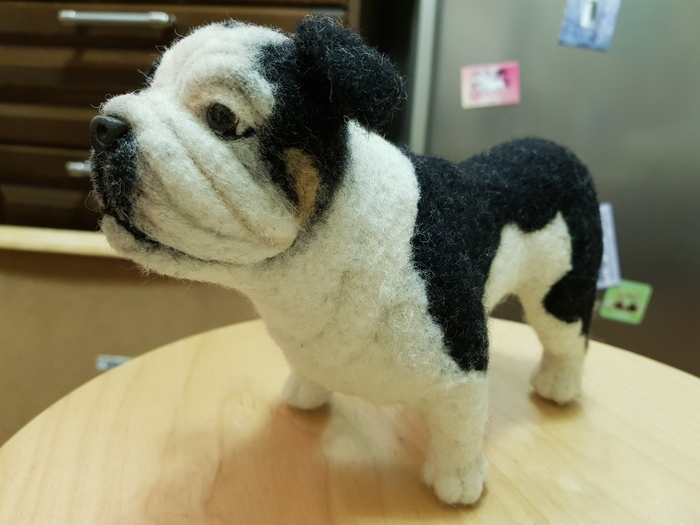 Part.5. The process of creating an interior toy, English Bulldog. To be continued) Author: Maria Sherstobitova. - My, Dog, Dry felting, Handmade, Author's toy, Animals, Process