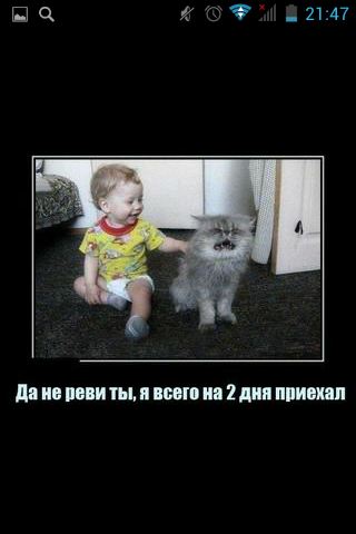 Приветикии