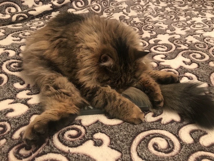 ��� �� ������ �� ��������?