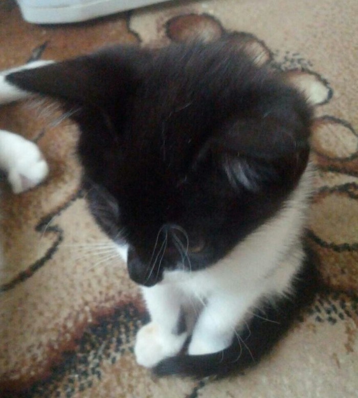 ,   !   , , -, , 