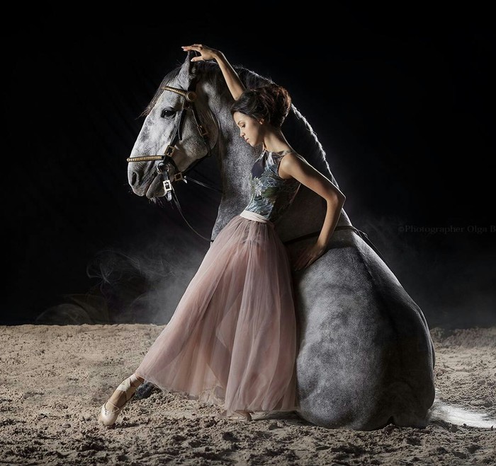 Beauty and strength - beauty, The photo, Horses