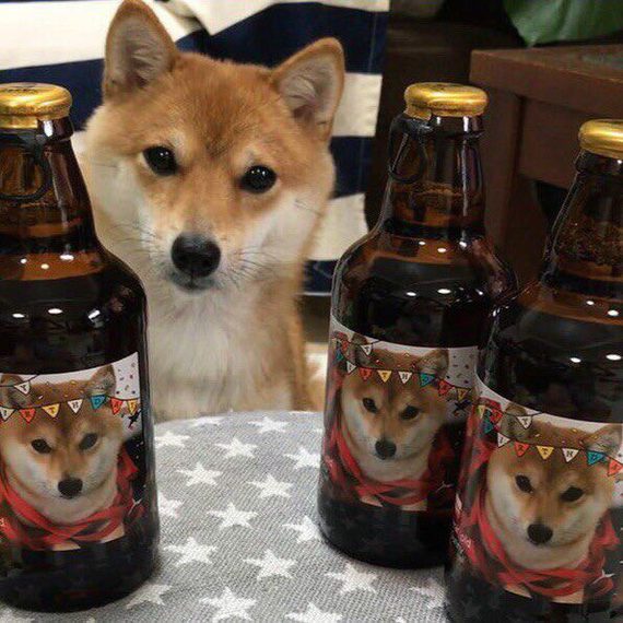 ���� �� ������ ������