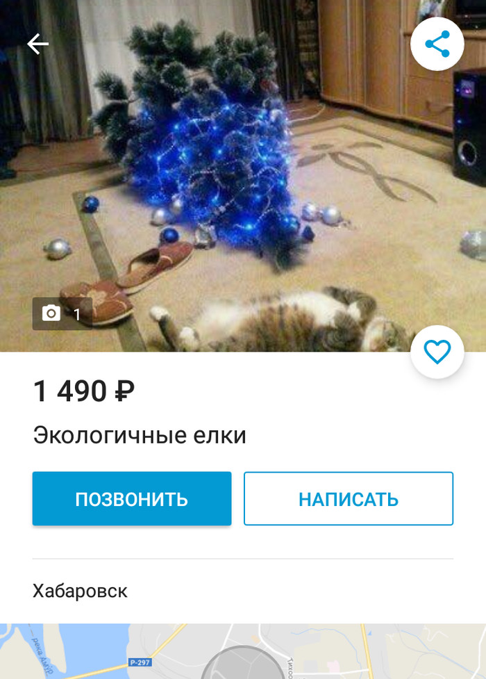 In continuation of the New Year trees from Khabarovsk: - New Year, Christmas trees, Strange ads, Funny ads, cat, Longpost, Holidays