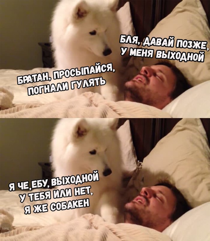       , , 