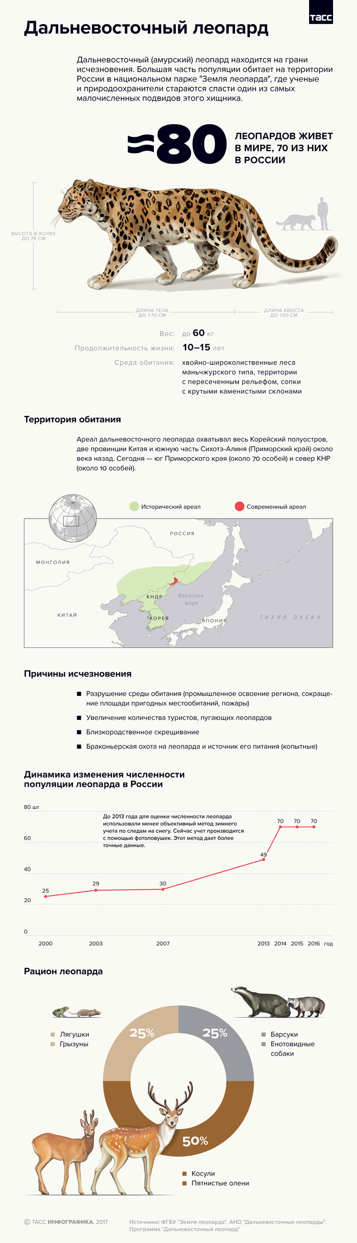 Big cats - Infographics, TASS, Leopard, Nature, cat, The bayanometer is silent, Longpost