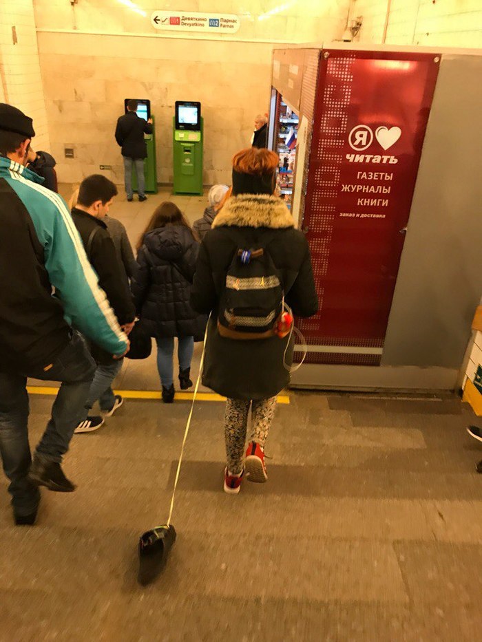 Когда собакена нету, а хочется...)