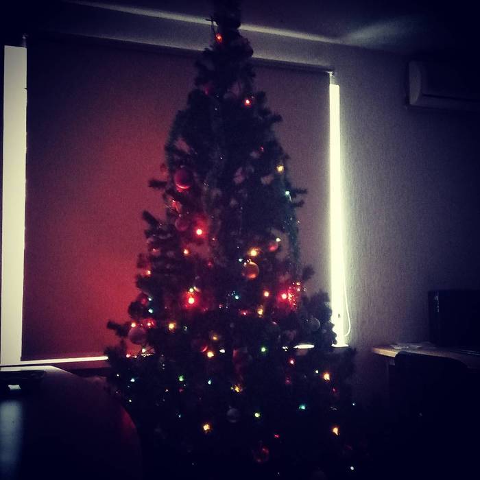 It's time to decorate the Christmas tree - My, New Year, Office weekdays