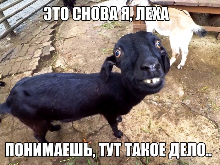 ���, �������, ����� �� �� ���. �������� ��� ��� ���-������.