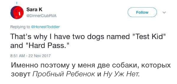 Индейцы со своими именами просто отдыхают - Дети, Беременность, Имена, Планирование беременности, Twitter, Длиннопост