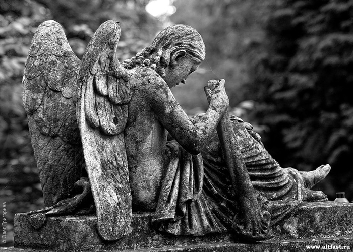 Highgate Cemetery - Highgate Cemetery, London, Great Britain, Picture with text, Longpost