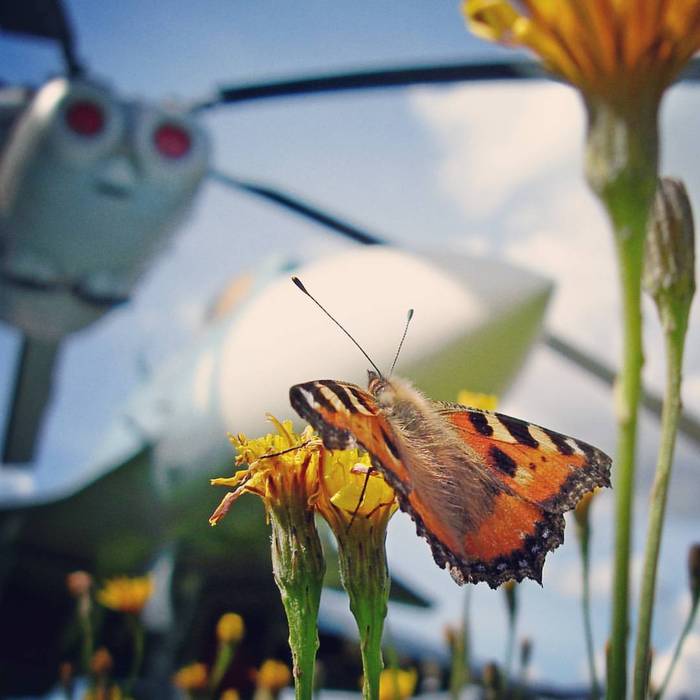 Animus - My, BBC Museum, , Monino, , Aviation, Butterfly