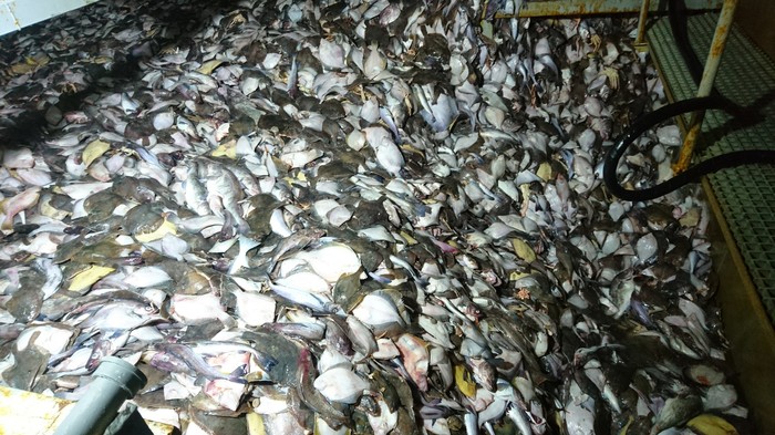 �������� ������� �� �����.