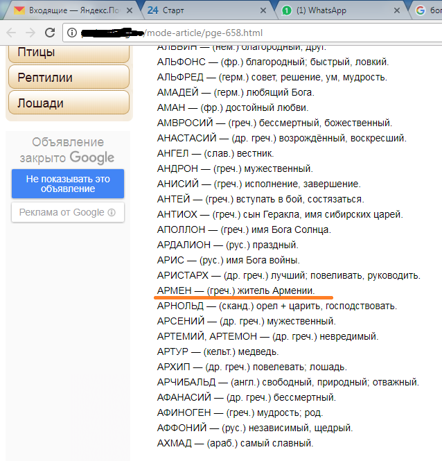 Armen - My, cat, Nickname, Meaning of names, Armenia, Screenshot, Meaning of the name