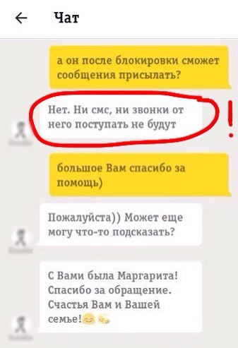 Как Билайн заботится о нас. - Моё, Билайн, Оператор, Чат, Длиннопост