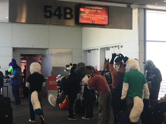 Yesterday's flight from San Francisco to Chicago - Furry, Fursjoot, The airport