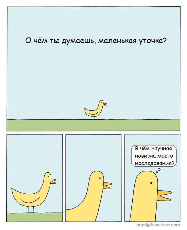 О чем думает маленькая уточка. Смотреть фото О чем думает маленькая уточка. Смотреть картинку О чем думает маленькая уточка. Картинка про О чем думает маленькая уточка. Фото О чем думает маленькая уточка