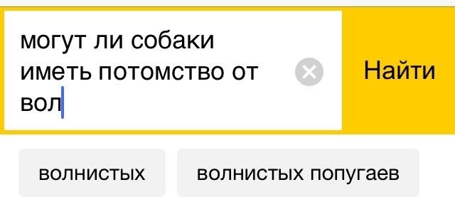 Яндекс - найдётся все - Собака, Потомство, Попугай, Волнистые попугаи