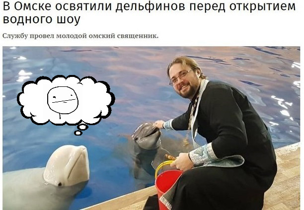 And this is the pinnacle of evolution. - Omsk, ROC, Dolphin