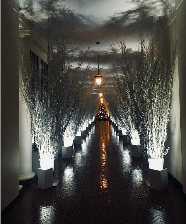 Creepy decoration of the White House cheered Twitter - The White house, Christmas, Twitter, Photoshop, USA, Longpost