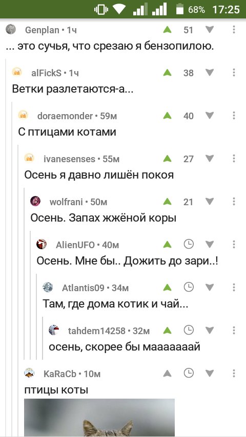 Comments are encouraging) - Comments, Not mine, Humor, Screenshot, Shevchuk