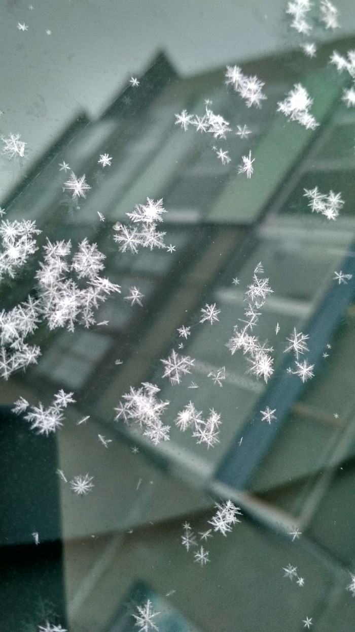Снежинки на лобовом стекле.