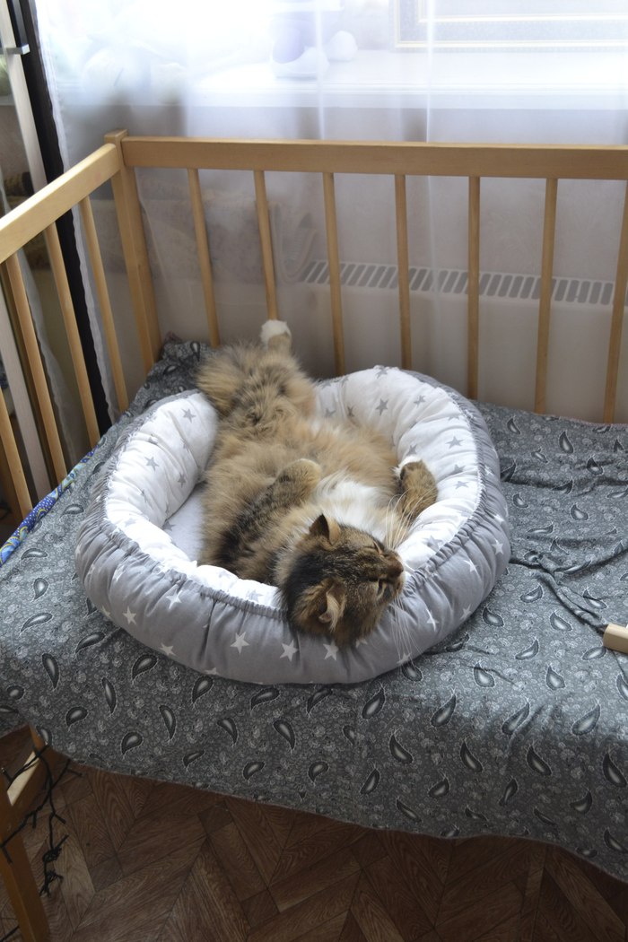 Bed for a cat. - My, Sunbed, Hobby, Longpost, cat