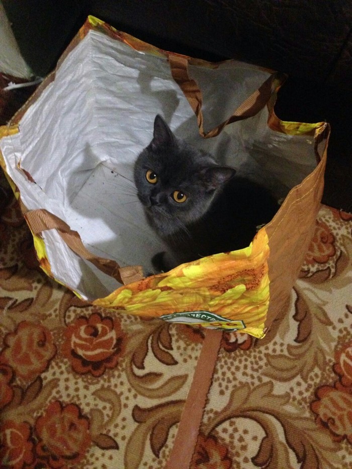 Любимое место.