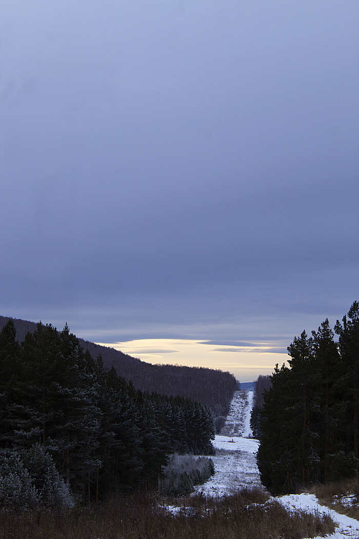 First days of winter... - My, My, The photo, Beginning photographer, Winter, Forest, Nature, Ural, Longpost