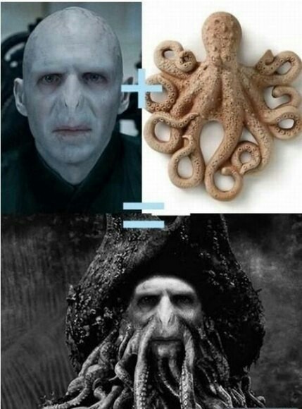 Such Voldemort - Humor, Pirates of the Caribbean, Harry Potter, Voldemort