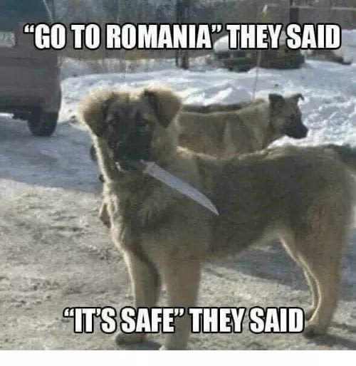 Come to Romania - Dog, Knife, Dangerous, Romania