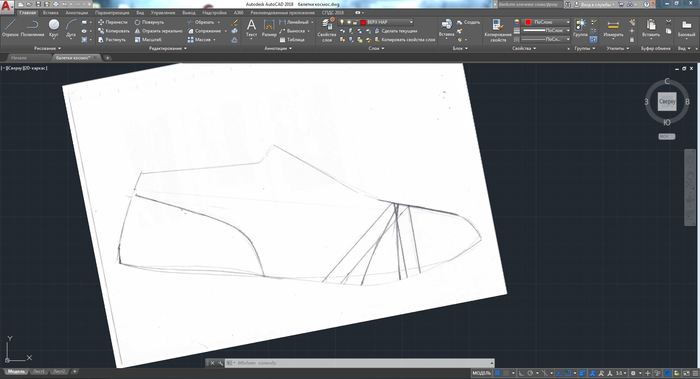 AutoCAD для проектирования обуви - Моё, Обувь, Autocad, Обувь САПР, Длиннопост