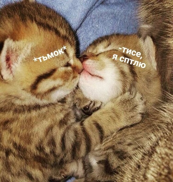 !  !!  !!!
