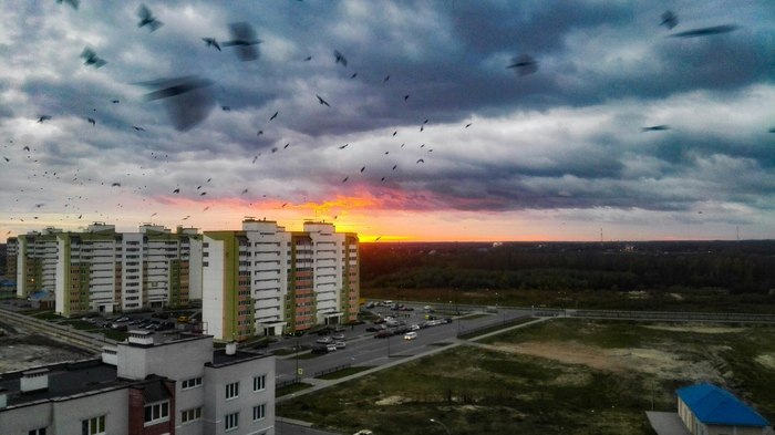 Первый пост - Осень, Моё, Первый пост, Фотография