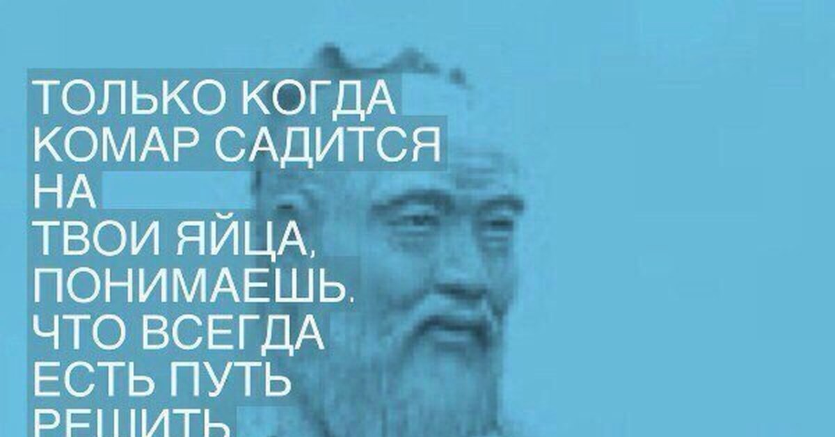 Только Когда Комар Садится На Твои Яйца Конфуций Картинка