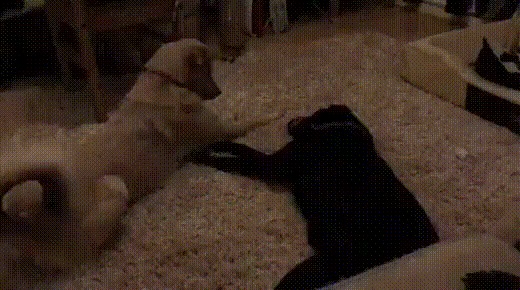 Это что сейчас было?