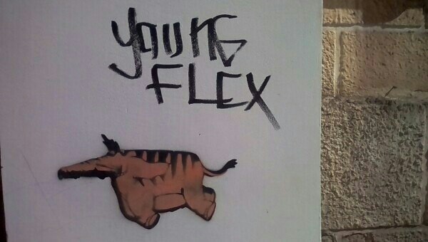 Молодой, гибкий.