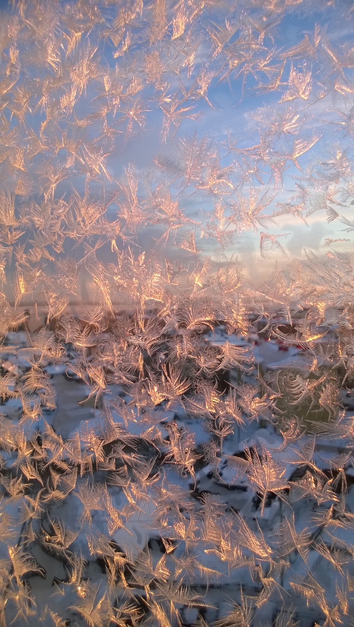 winter dandelions - My, Patterns, freezing, beauty, Vanilla Sky