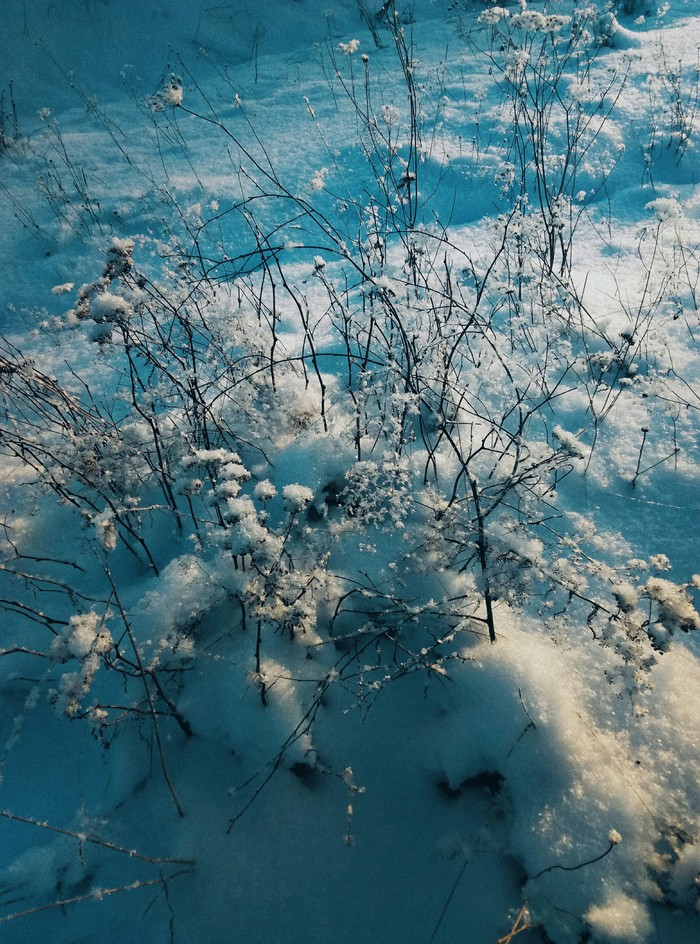 Winter. Everything crunches underfoot... - My, Omutninsk, Kirov region, Cosiness, Winter, Cold, The sun, Snow, Beginning photographer, Longpost