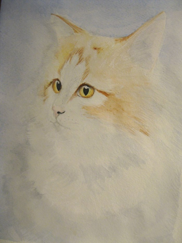 Lyokha - My, , Cats milota, , Drawing, Watercolor, Photo on sneaker, Longpost, cat