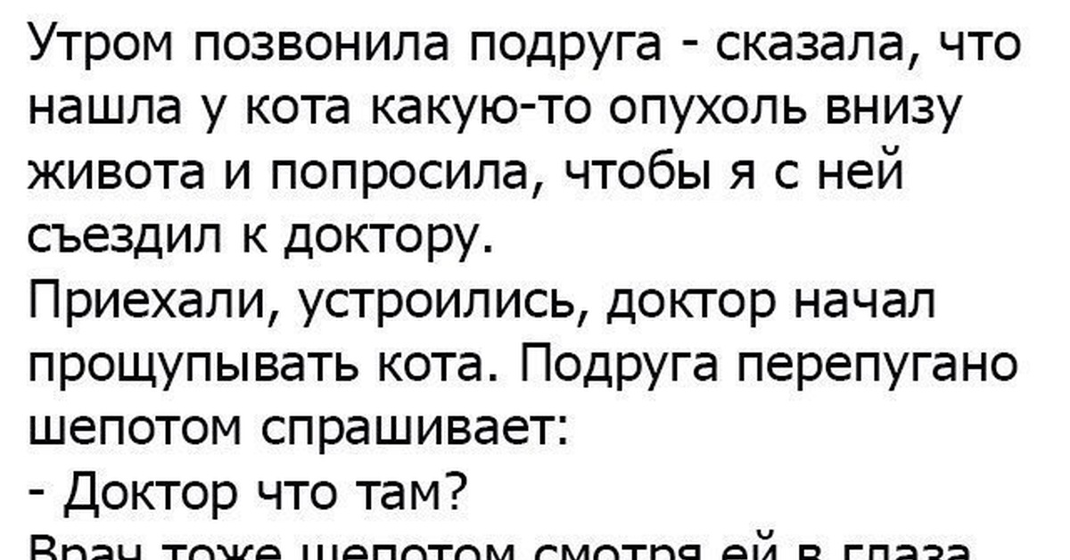 Что поделать с подругой по звонку. Интеллектуальные анекдоты. Анекдоты интеллектуальные смешные. Смешные анекдоты. Интеллектуальные анекдоты самые смешные.