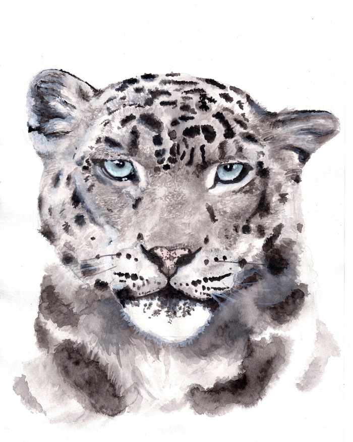 Snow Leopard - My, Snow Leopard, Watercolor, Drawing