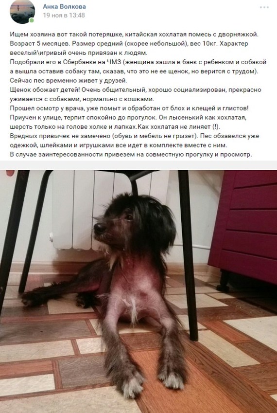    ,    ,     , X (Twitter), , , 