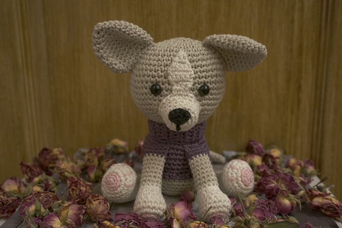 Tailed Bobik - My, Needlework without process, Amigurumi, Creation, cat, , Longpost