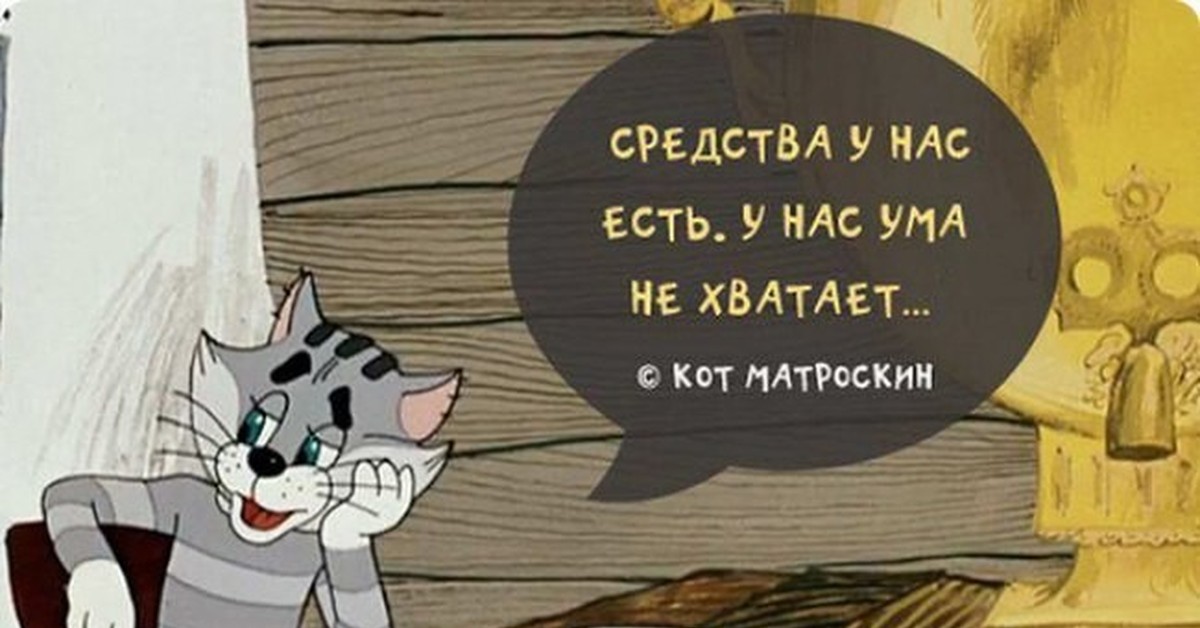 У нас есть котик. Я экономить буду Матроскин. Кот Матроскин я экономить буду. Фразы из советских мультфильмов.