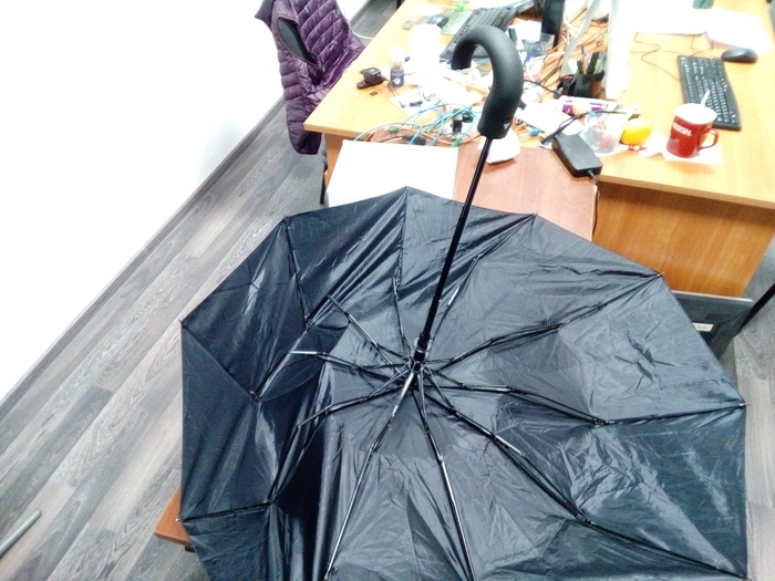 Briefly about the December weather in St. Petersburg - Saint Petersburg, My, Umbrella, Wind, Rain, Weather