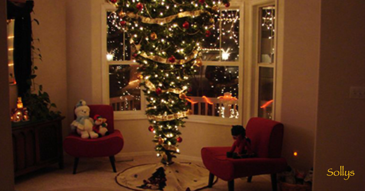 Новогодняя елка - пушистая красавица - Новый год и Рождество - Форум сайта webmaster-korolev.ru